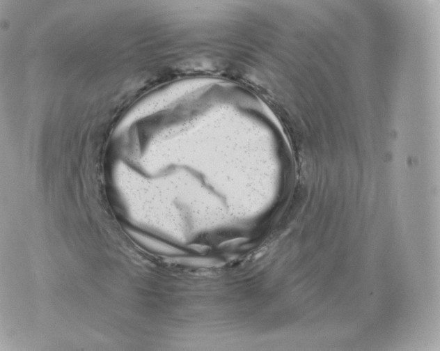 X0000070381297200606301911