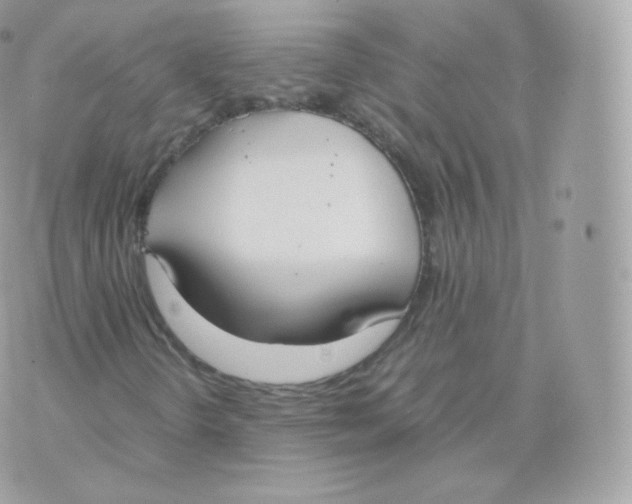 X0000070381298200606301911