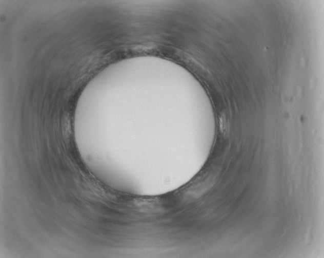 X0000070381299200606301911