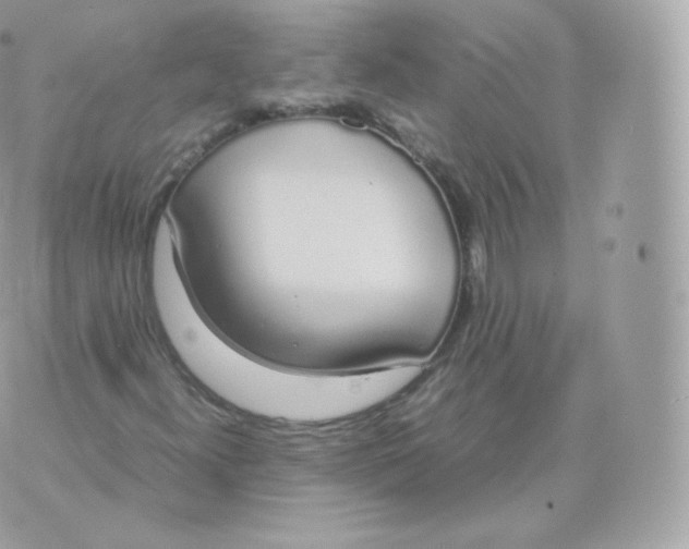 X0000070381300200606301911