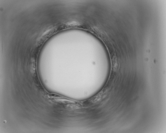 X0000070381301200606301911