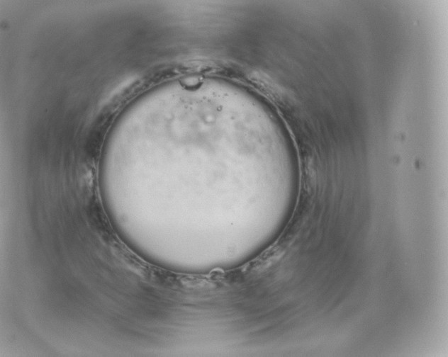 X0000070381302200606301911