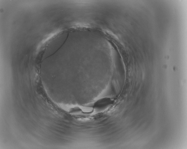 X0000070381303200606301911