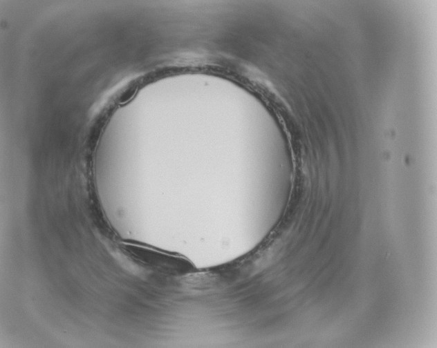 X0000070381304200606301911