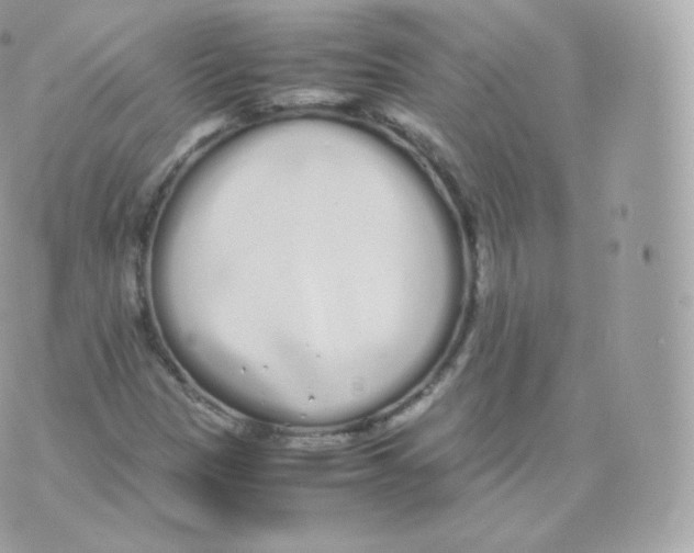 X0000070381305200606301911