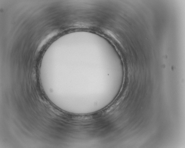 X0000070381307200606301911