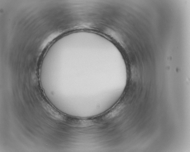 X0000070381308200606301911