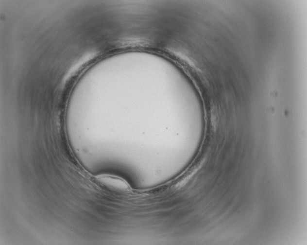 X0000070381309200606301911