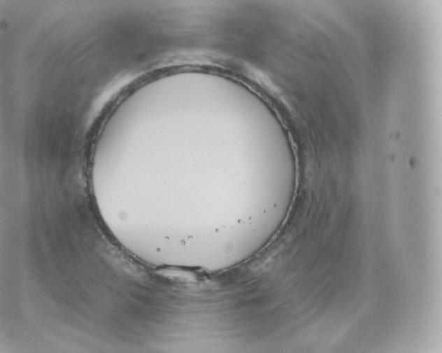 X0000070381312200606301911