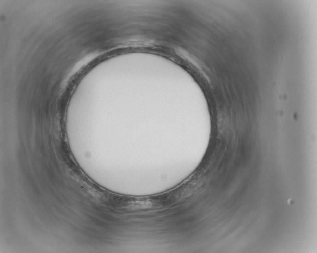 X0000070381315200606301911