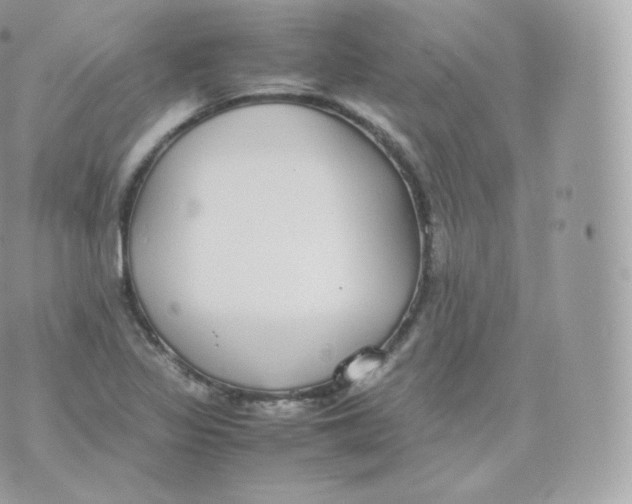 X0000070381317200606301911