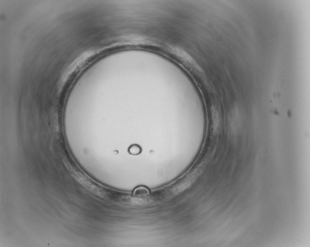 X0000070381318200606301911