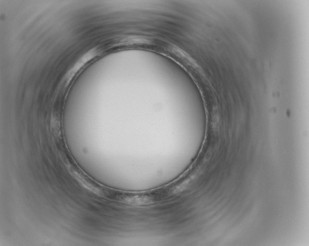 X0000070381321200606301911