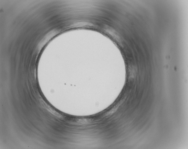 X0000070381322200606301911