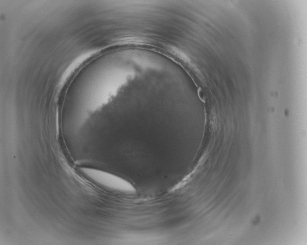 X0000070381323200606301911