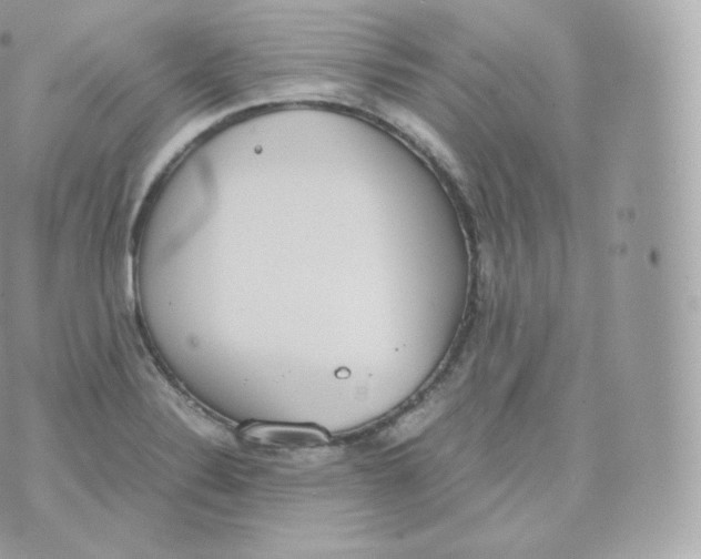 X0000070381324200606301911