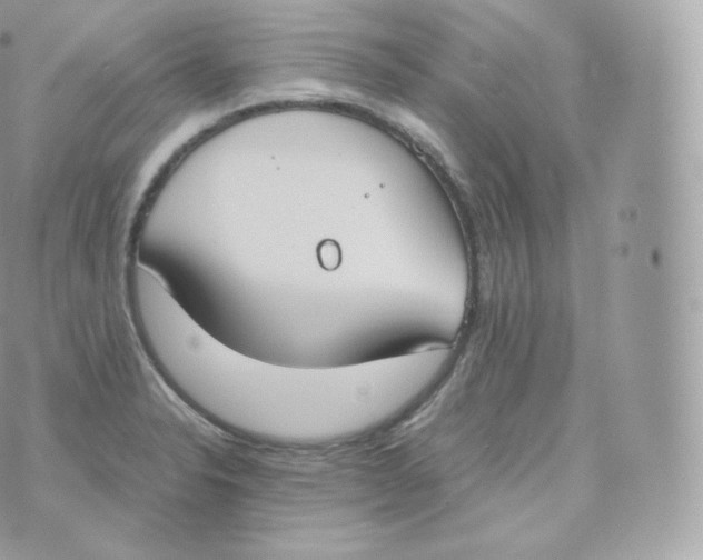 X0000070381326200606301911