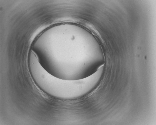 X0000070381328200606301911