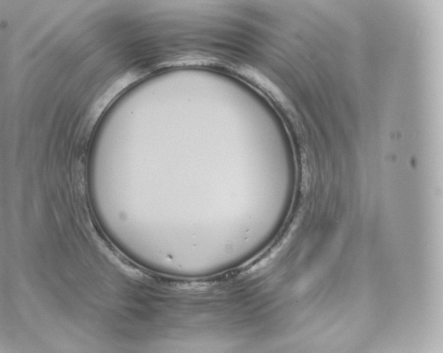 X0000070381329200606301911