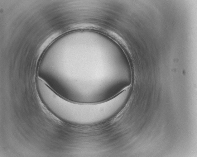 X0000070381330200606301911