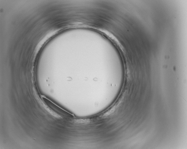 X0000070381333200606301912