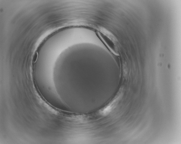 X0000070381334200606301912