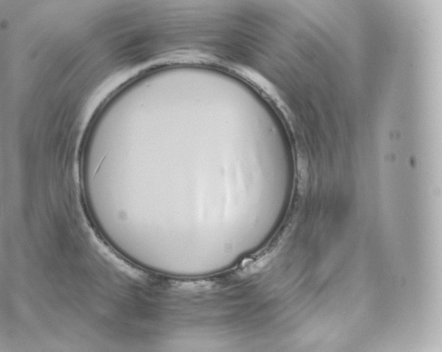 X0000070381335200606301912