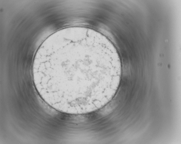 X0000070381338200606301912