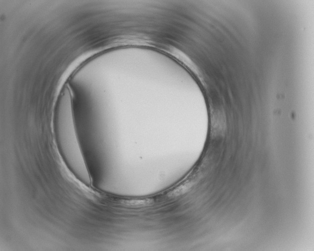 X0000070381339200606301912