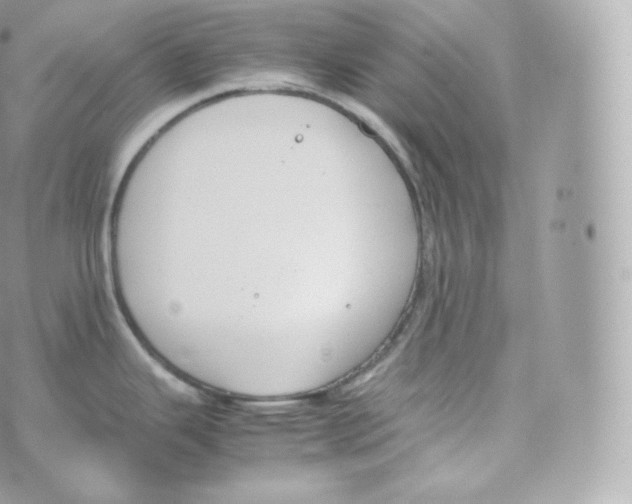 X0000070381343200606301912