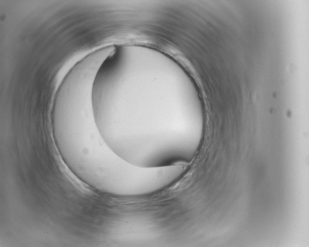 X0000070381344200606301912