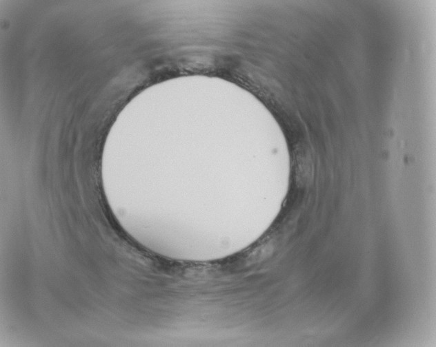 X0000070381345200606301911