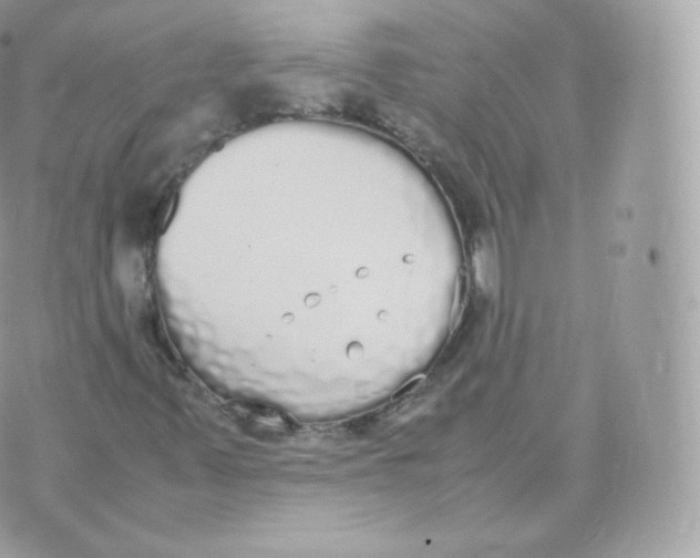 X0000070381347200606301911