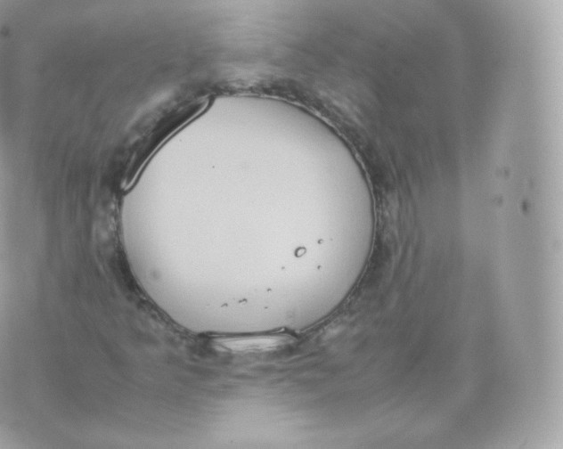 X0000070381349200606301911