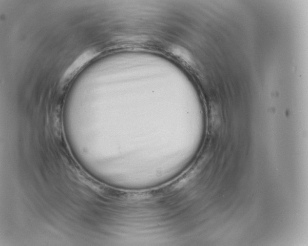 X0000070381354200606301911