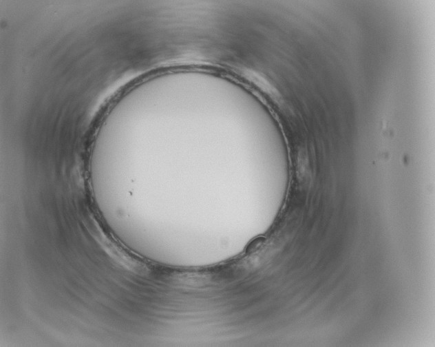 X0000070381356200606301911