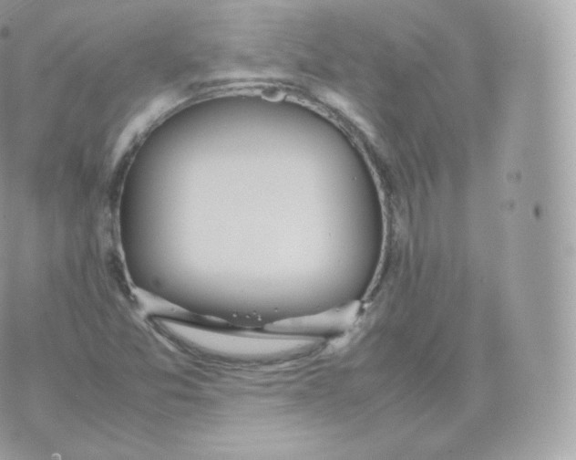 X0000070381357200606301911