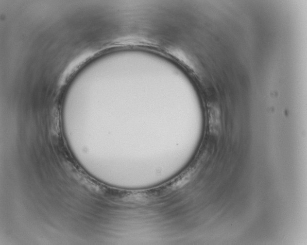 X0000070381358200606301911