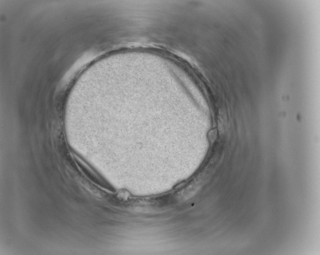 X0000070381359200606301911