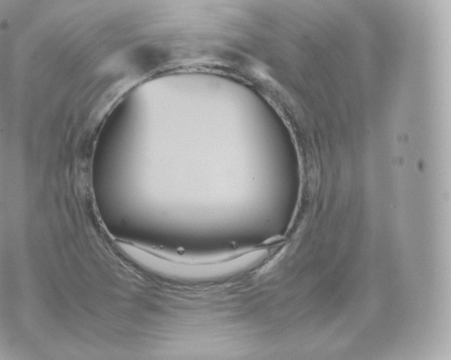 X0000070381361200606301911