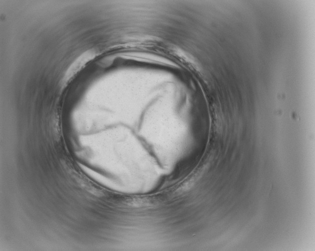 X0000070381362200606301911