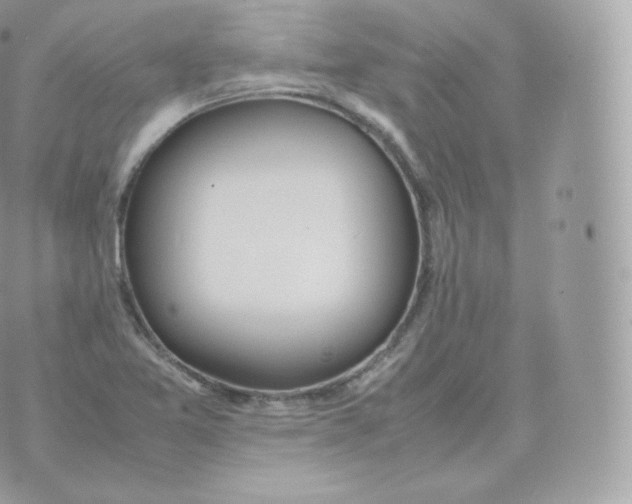 X0000070381365200606301911