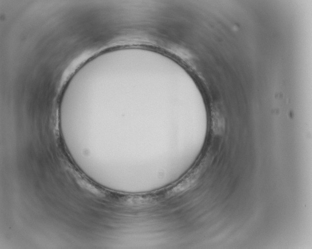 X0000070381366200606301911