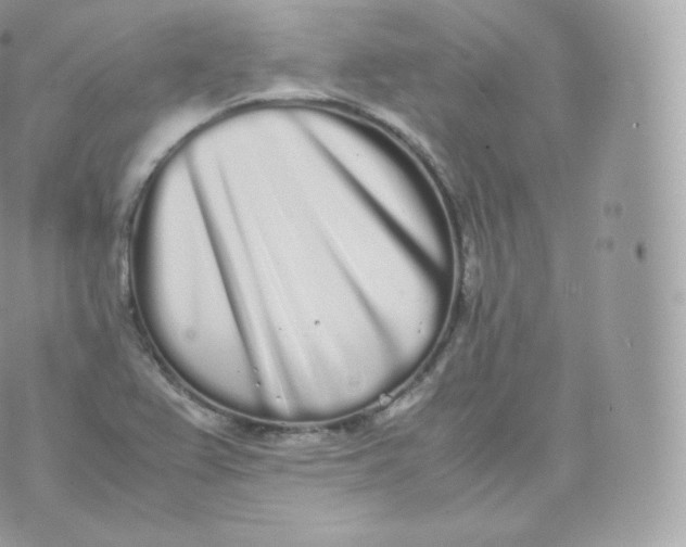 X0000070381367200606301911