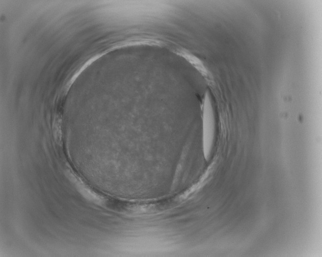 X0000070381369200606301911