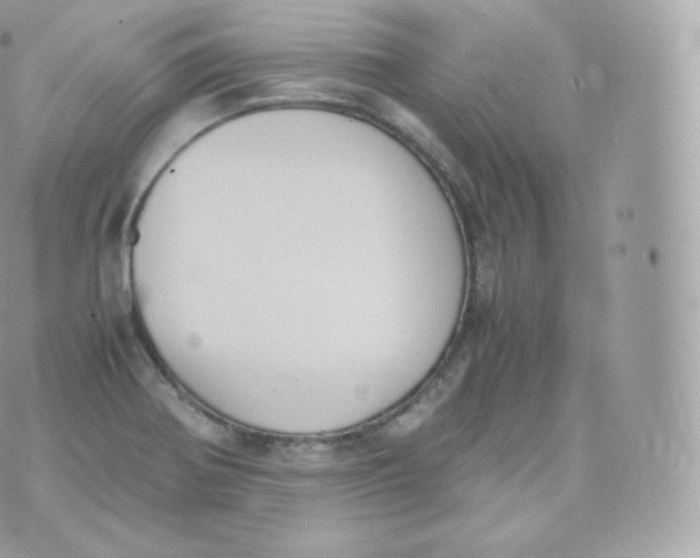 X0000070381370200606301911