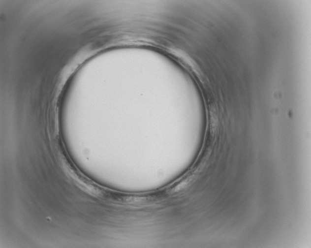 X0000070381371200606301911