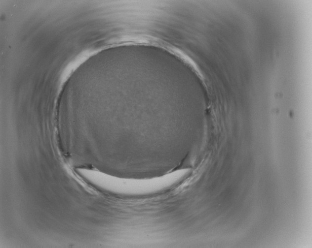 X0000070381373200606301910