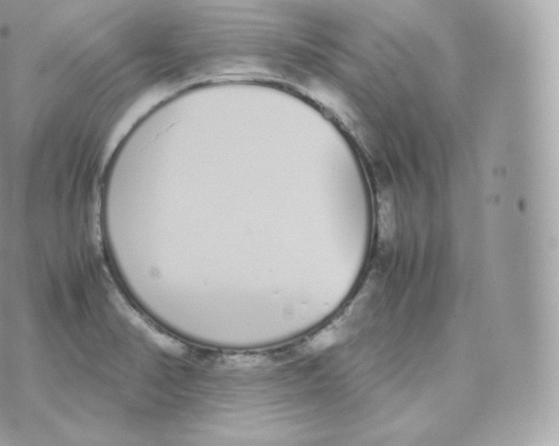 X0000070381374200606301910