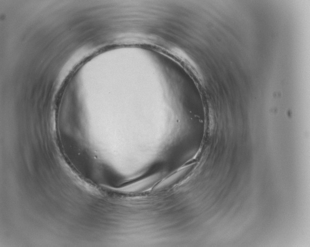 X0000070381376200606301910